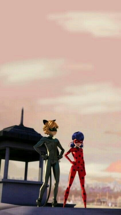Featured image of post Wallpapers Ladybug And Cat Noir Photos / Tales of ladybug &amp; cat noir wallpapers to download for free.