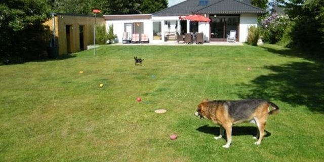 Ferienhaus Alleinlage Eingezäunter Garten Ferienhaus Mit Hund In