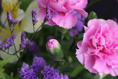 CANON EOS 7D IMG_0139