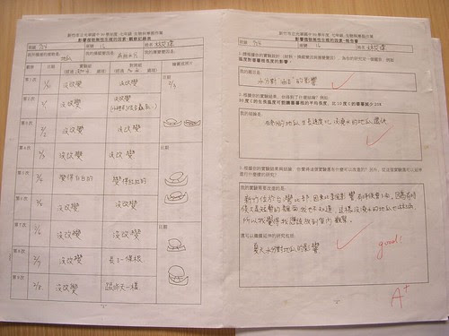 DSCN3282.JPG