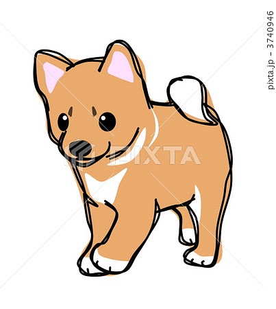 25 無料 かわいい 柴犬 犬 イラスト イケメン 戦国 イラスト