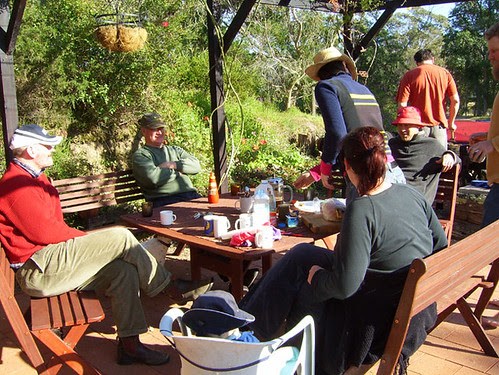 brekkie group