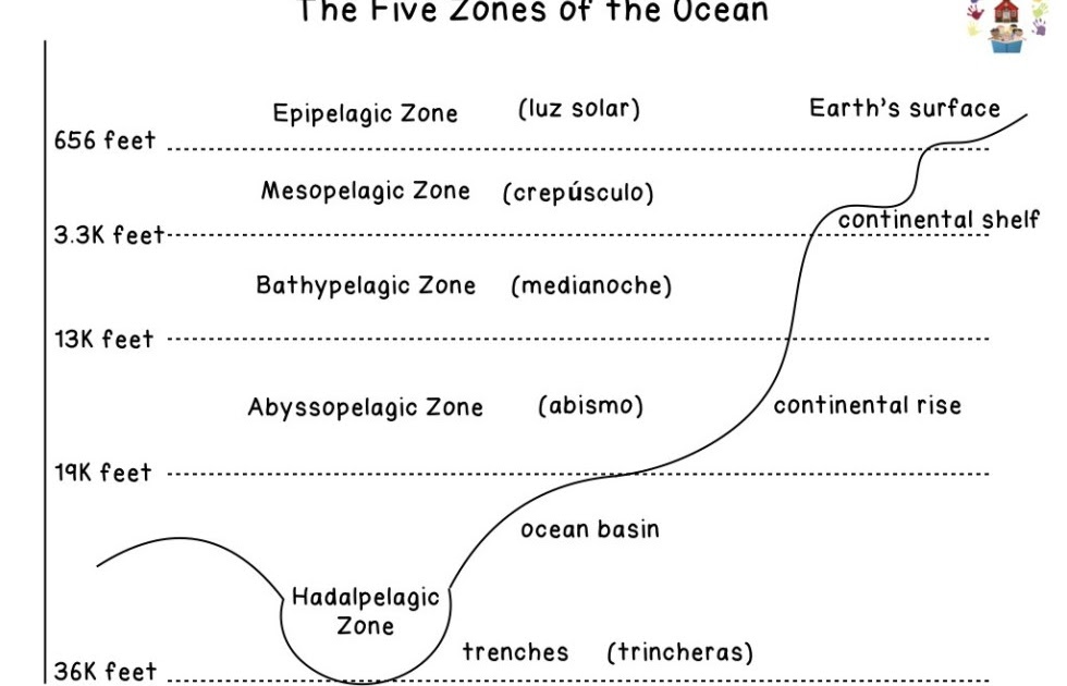 Ocean Zones Worksheets : National Science Week Activities For Little