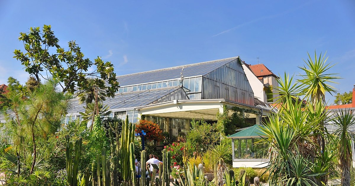 49+ schön Sammlung Botanischer Garten Nürnberg Unter
