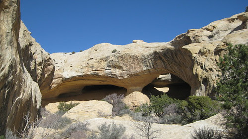 03.27.10 Wild Horse Window
