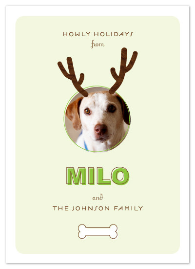 holiday photo cards - Reindog