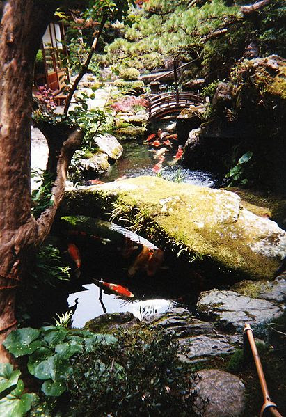 Backyard Pond Landscaping Ideas | Garden Guides