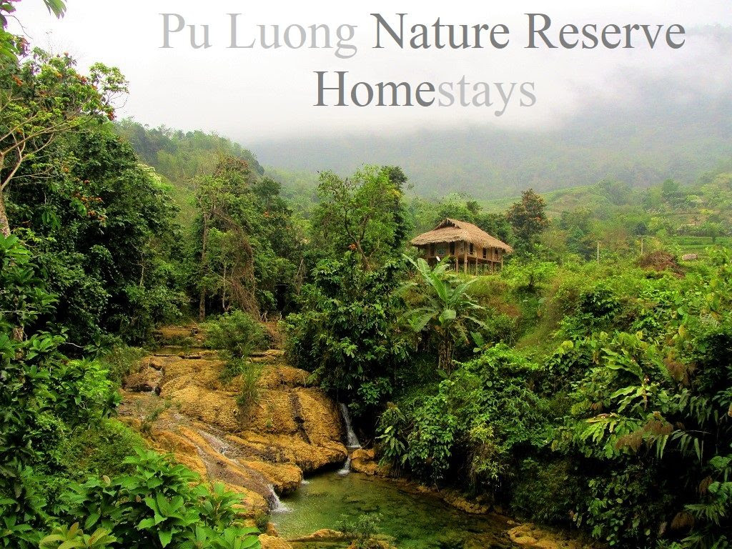 Discount  90  Off  Conical Hats Homestay Vietnam Best Hotels