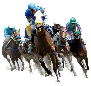 Résultat de recherche d'images pour "chevaux de courses"