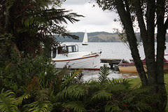 IMG_8139