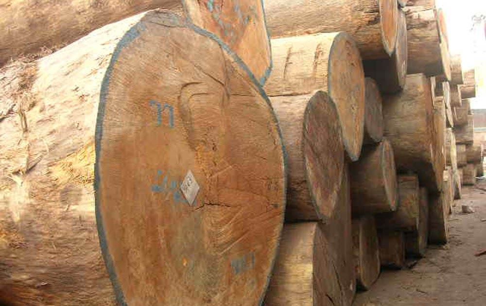 Woodworking Auctions
