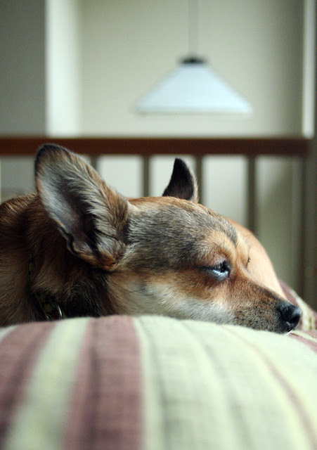 noon nap