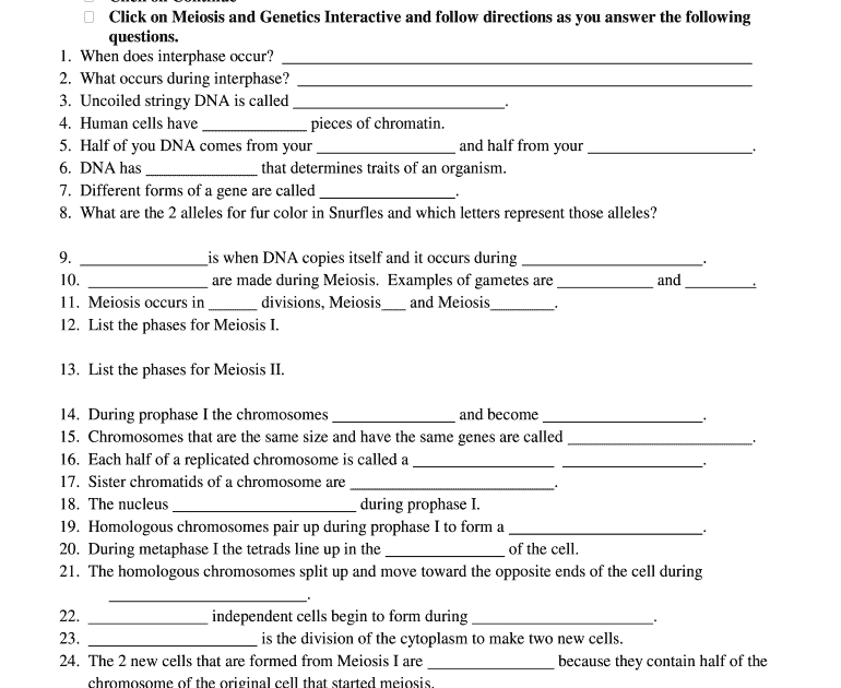 Meiosis Worksheet Answer Key : Mitosis Vs Meiosis Worksheet Graphic