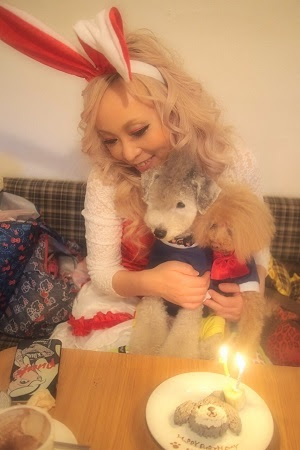 トップ 100 Sweetcandy 犬 ざたなもめ
