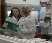 Dr. Collette Fitzgerald Leaumont, team lead, Enteric Reference Laboratory, during the partial government shutdown in October 2013