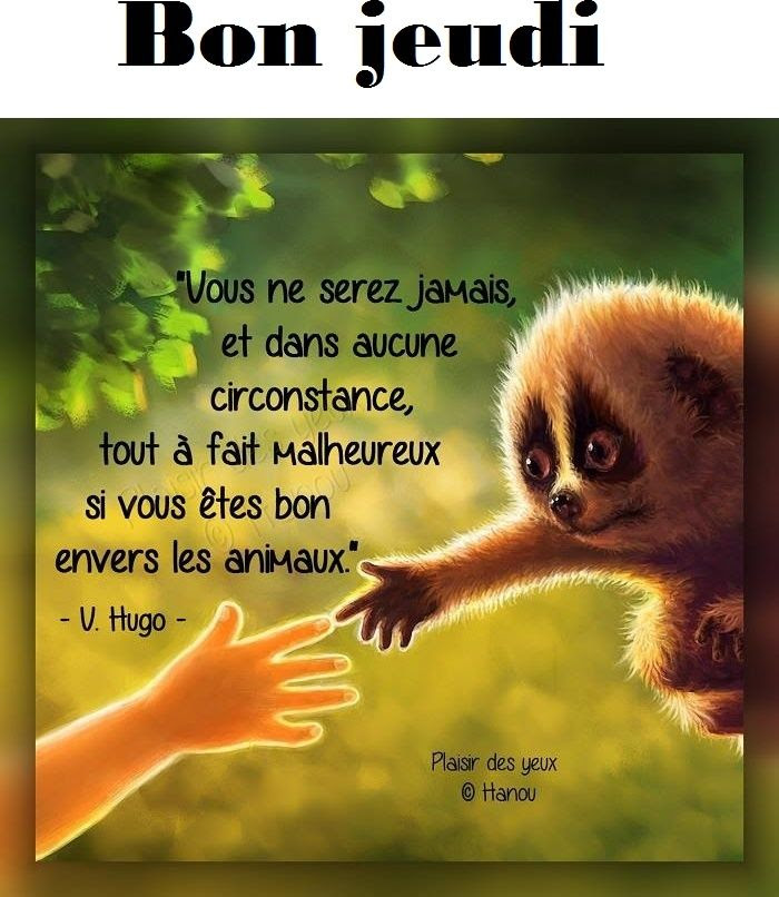 Citation Du Jour Jeudi