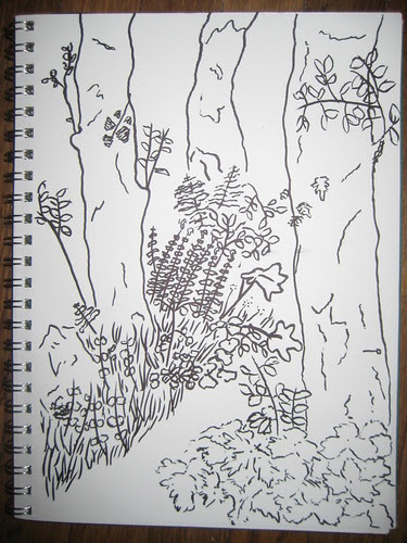 Drawing