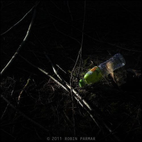 Myths of the New Forest: Detritus #28789