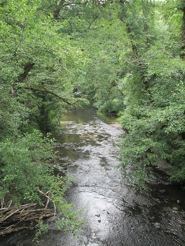 Nehalem River