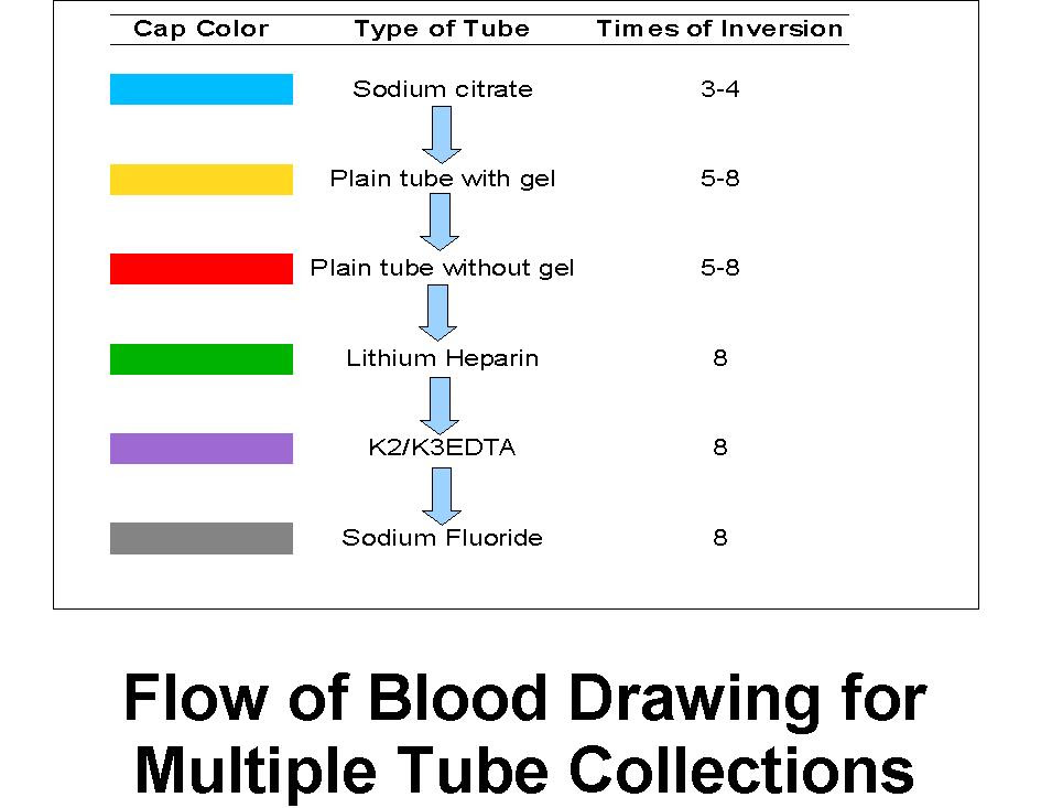 Order Of Drawing Blood Tubes