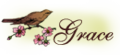 Gracesiggy