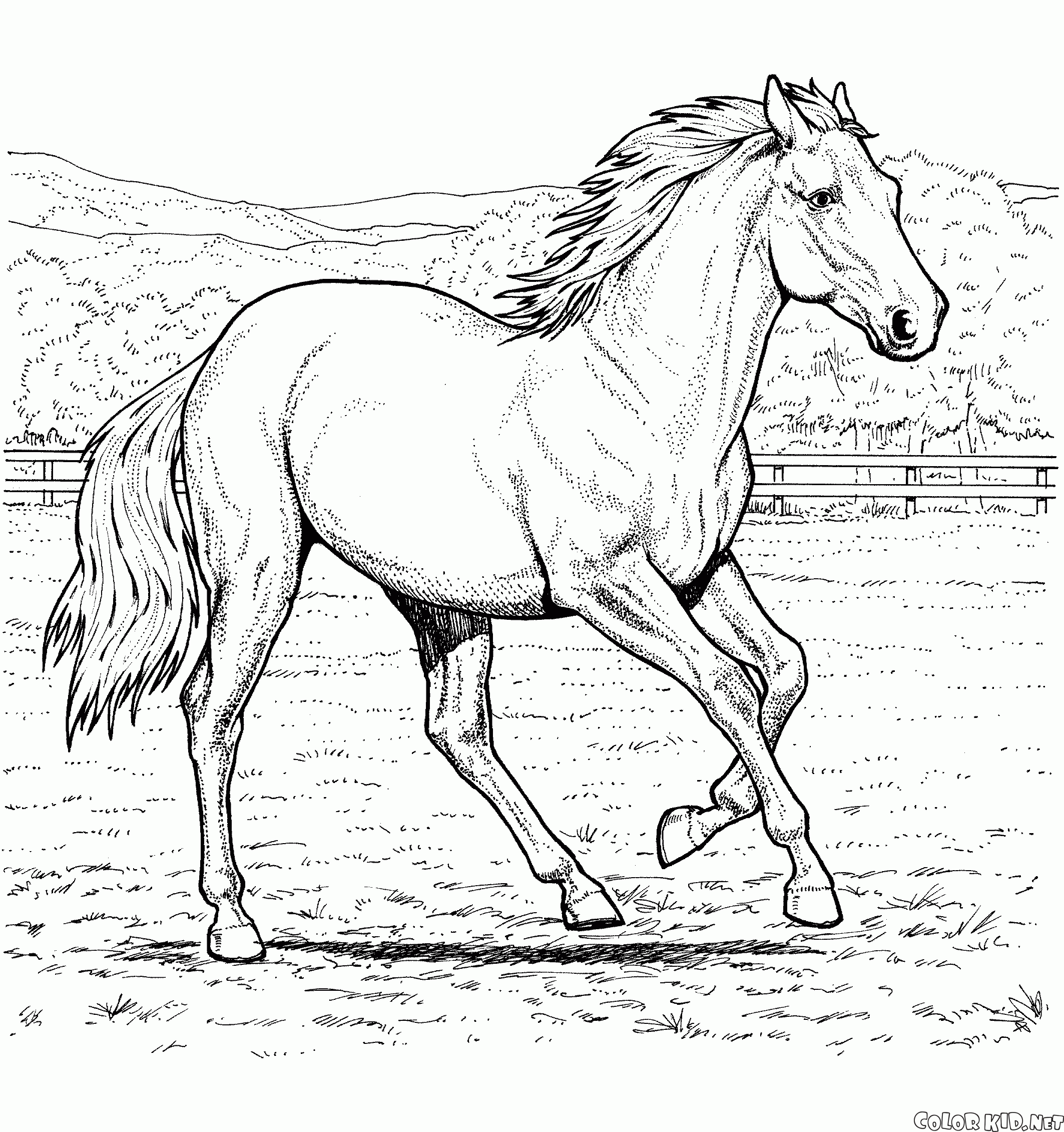Coloriage Troupeau De Chevaux  Des Milliers de Coloriage Imprimable