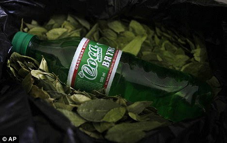 A bottle of newly launched energy drink Coca Brynco on a bed of coca leaves that Bolivians traditionally chew and are an ingredient of cocaine