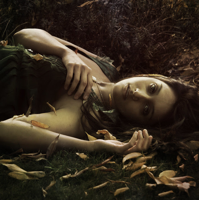 autumn leaves