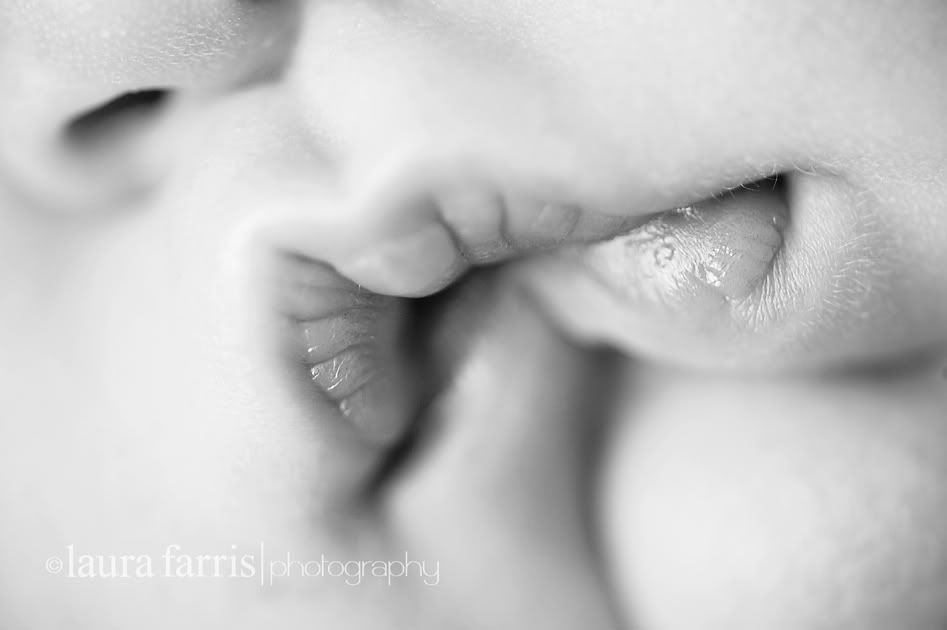 boise idaho baby photographer