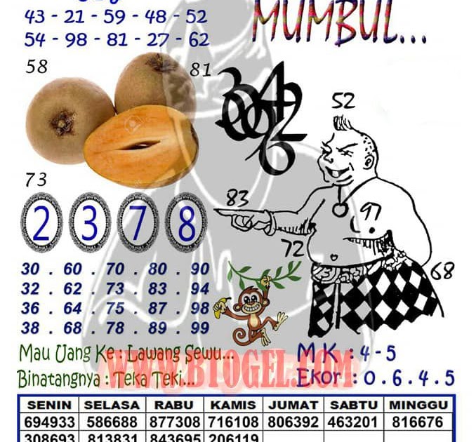11 Prediksi gambar hk hari ini