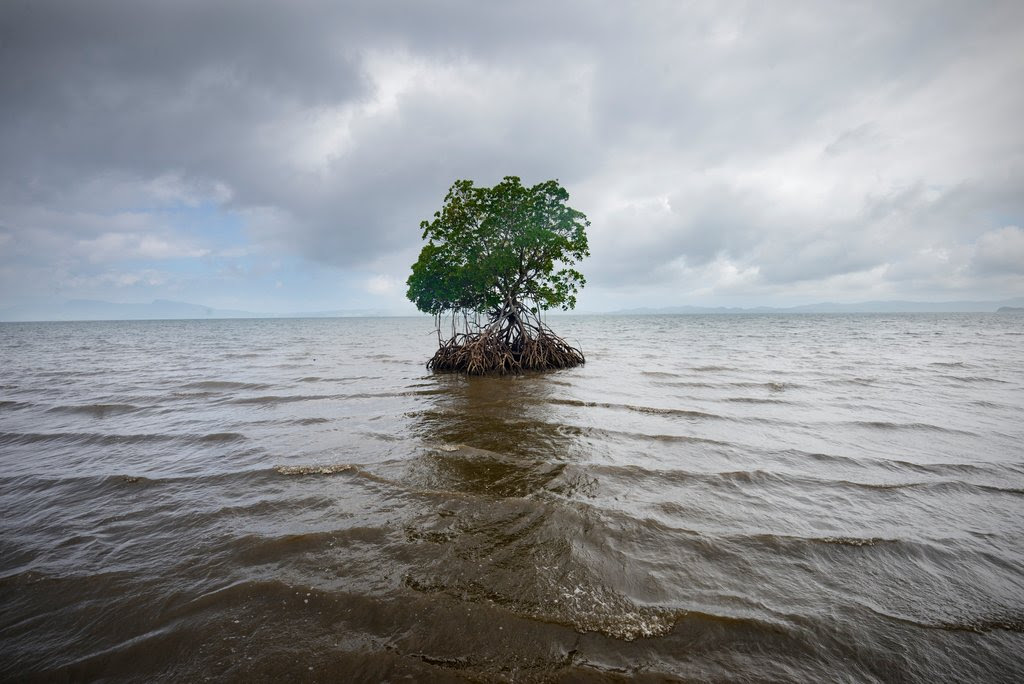 Climate-Fiji-slide-5046-jumbo.jpg