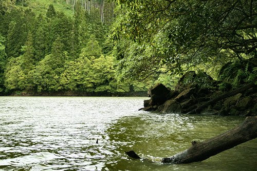 20090610-vs-8506