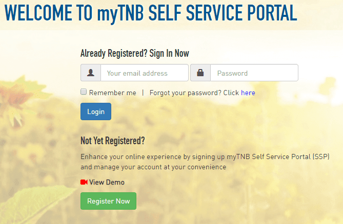 Tnb Self Service Portal : Webinar: Create an Employee Self-Service