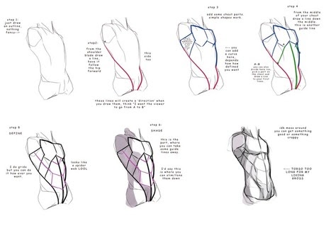 How To Draw Abs Anime Easy - Galandrina