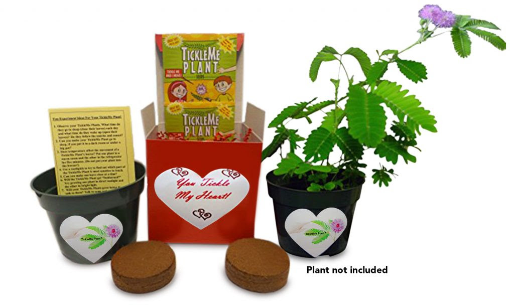 Enter to Win a TickleMe Plant Gift Box for Valentine's Day #TickleMePlant #ValentinesDayGifts