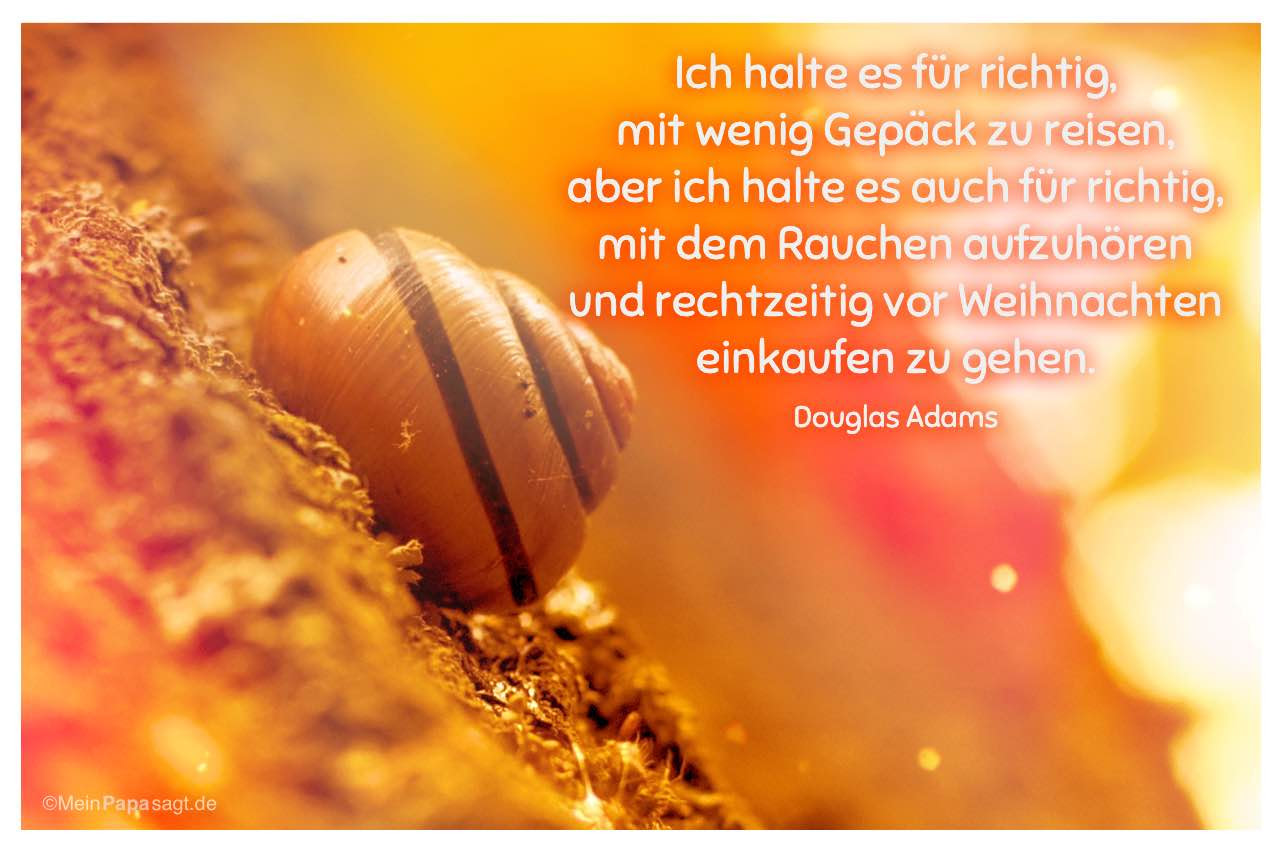 Lustige Sprüche Reisen zitate sprüche leben