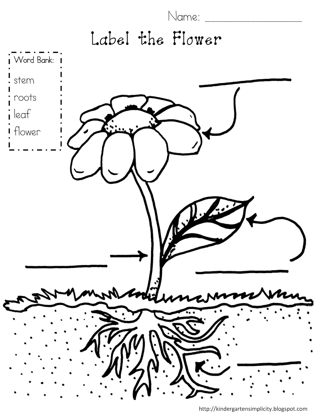 30 Fungi Coloring Worksheet Answer Key - Mihrimahasya Coloring Kids