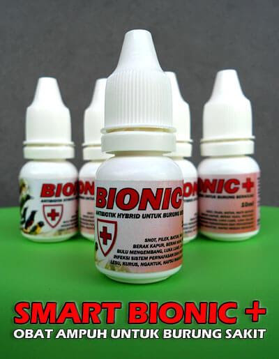Smart Bionic Obat Burung Sakit Smart Bionic Obat Burung Sakit