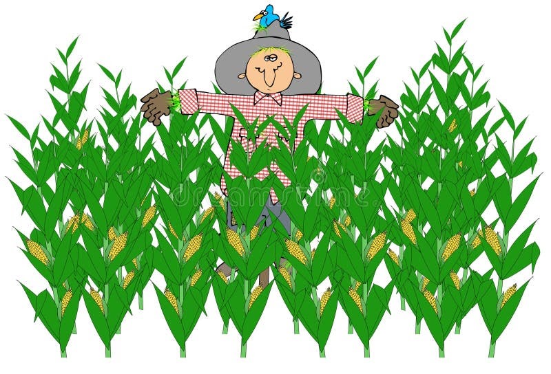 Clipart Corn Field Drawing