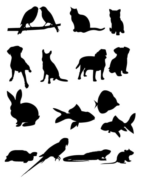 美しい花の画像 最新のhd生き物 イラスト シルエット