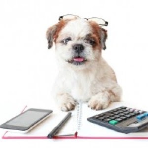 Hempstrax CBD Pet Calculator