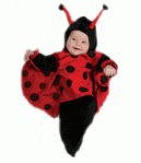 ladybugbunting885393