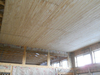 House Ceiling Facing Southeast