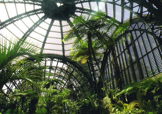 Roof Inside the Botanical Building