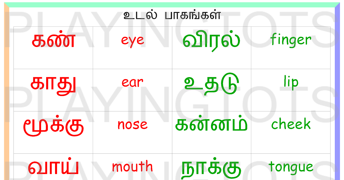 Body Parts Tamil : Know Your Body Inside Your Body Internal Part Tamil