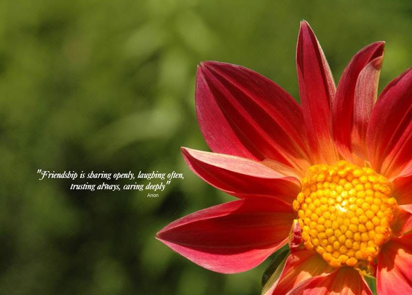 beautiful friendship quotes with pictures