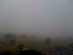 No, una niebla espesa 1