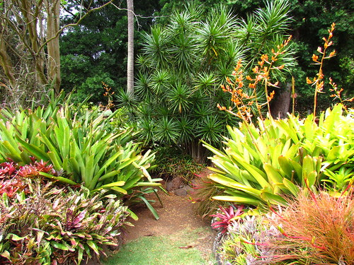 Allerton Garden