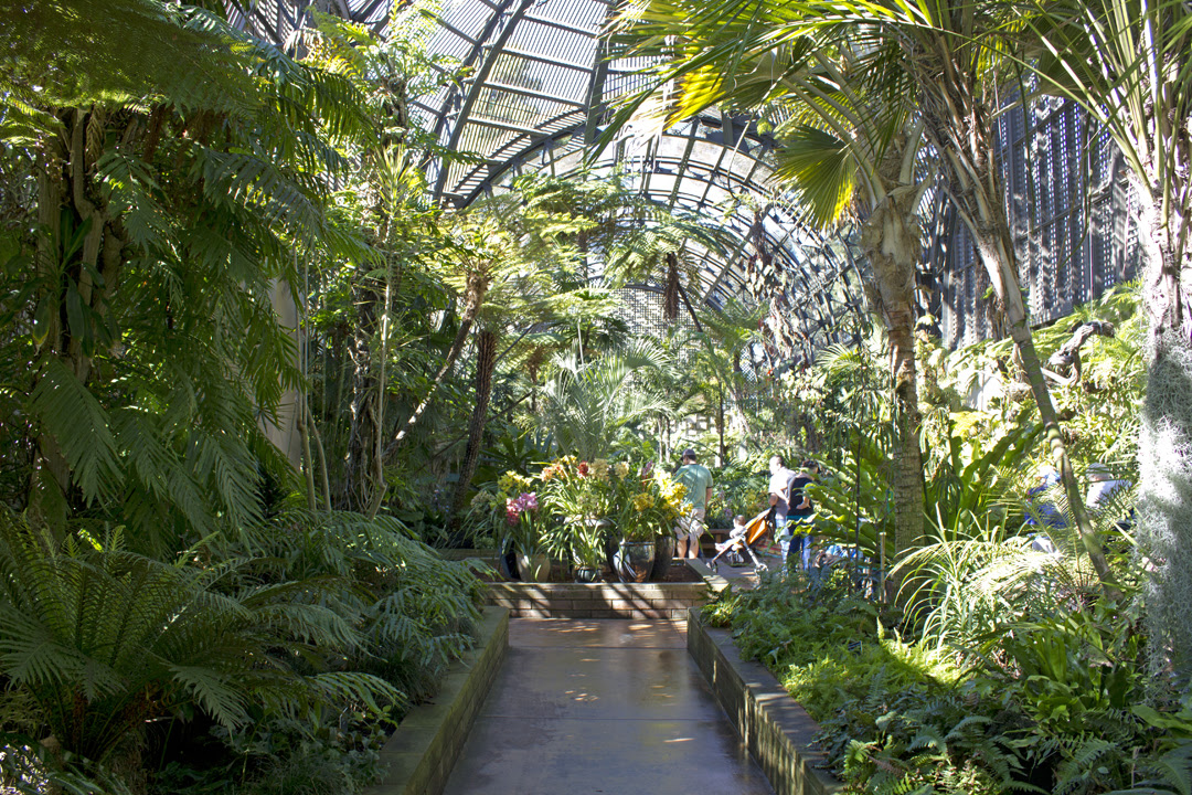 Serieslibrosypeliculas7 21 Elegant Botanical Gardens San Diego