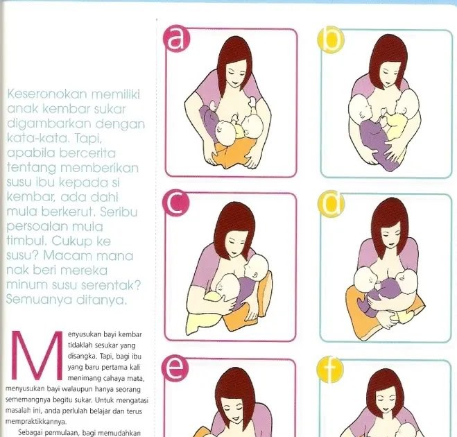 Habbatus Sauda Ibu Menyusu - Jual Produk Habbatussauda ...